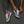 Charger l&#39;image dans la galerie, Bisexual Pride Colors Modern Gray Athletic Shoes - Men Sizes
