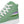 Laden Sie das Bild in den Galerie-Viewer, Casual Genderqueer Pride Colors Green High Top Shoes - Men Sizes
