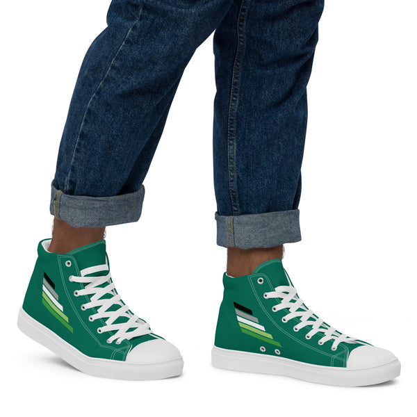 Aromantic Pride Modern Green High Top Shoes