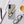 Cargar imagen en el visor de la galería, Product mockup
