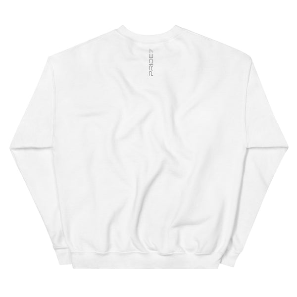 Modern Omnisexual Unisex Sweatshirt