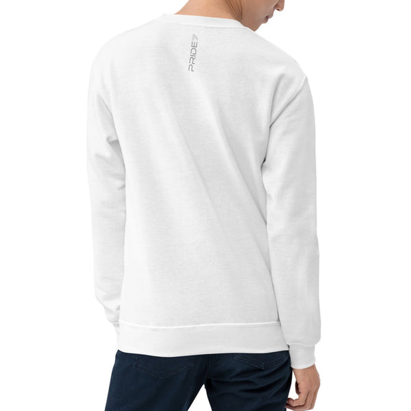 Modern Pansexual Unisex Sweatshirt