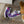 Carregar imagem no visualizador da galeria, Bisexual Pride Colors Modern Purple Athletic Shoes - Women Sizes
