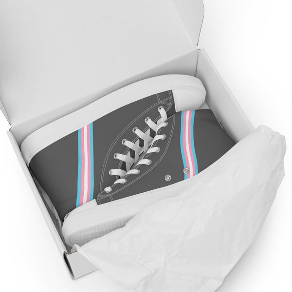 Transgender Pride Gray High Tops