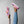 Load image into Gallery viewer, Gay Pride Modern Pink Slip-On Shoes
