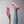 Charger l&#39;image dans la galerie, Bisexual Pride Modern Pink Slip-On Shoes
