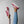 Carica l'immagine nel Visualizzatore galleria, Product mockup
